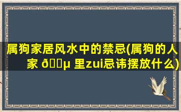 属狗家居风水中的禁忌(属狗的人家 🐵 里zui
忌讳摆放什么)